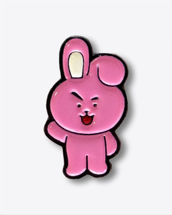 Pin RJ