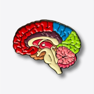 Pin Cerebro Completo