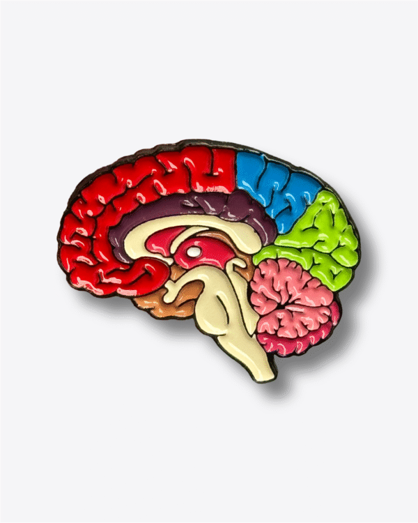 Pin Cerebro Completo
